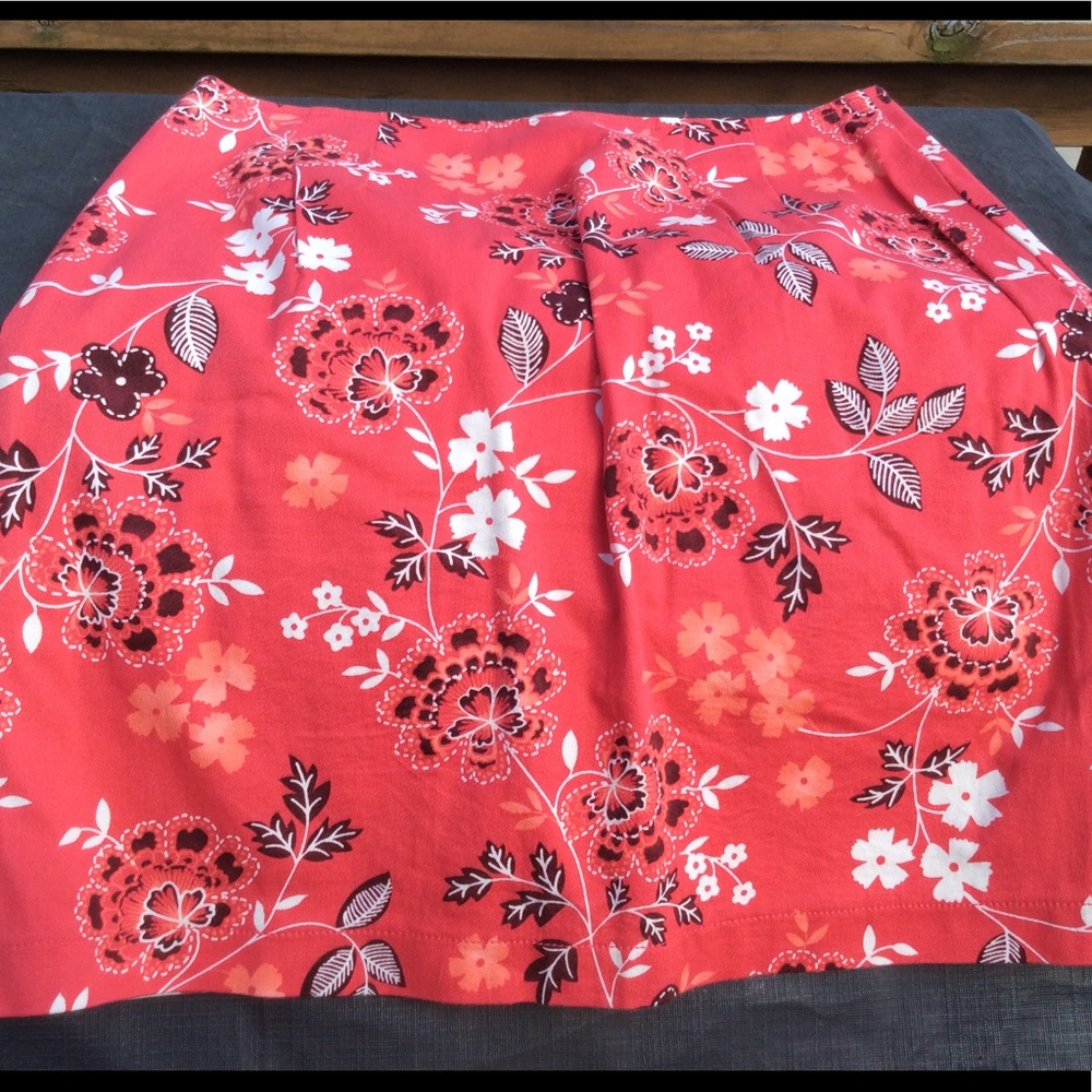 Beautiful Ann Taylor skirt